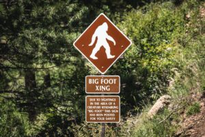 Bigfoot Researcher Ron Morehead | The Metaphysical Mysteries