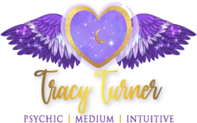 tracy-turnercom_logo